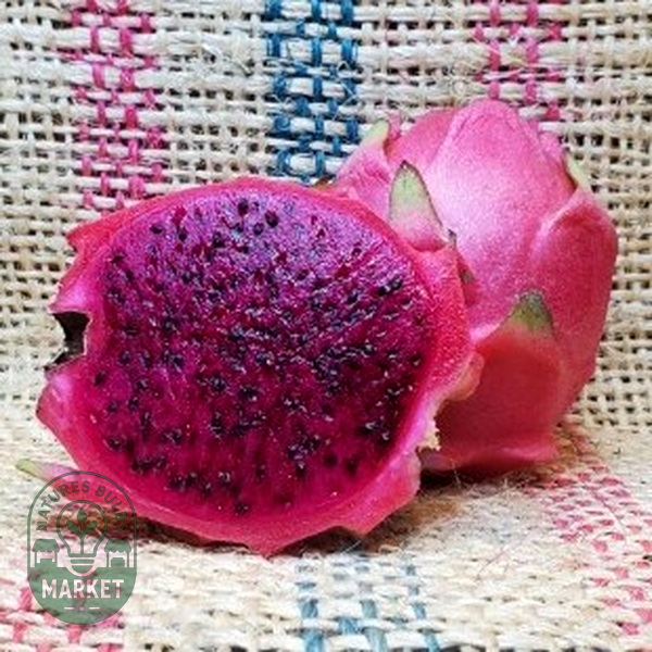 Dragon Fruit Costa Rican Sunset