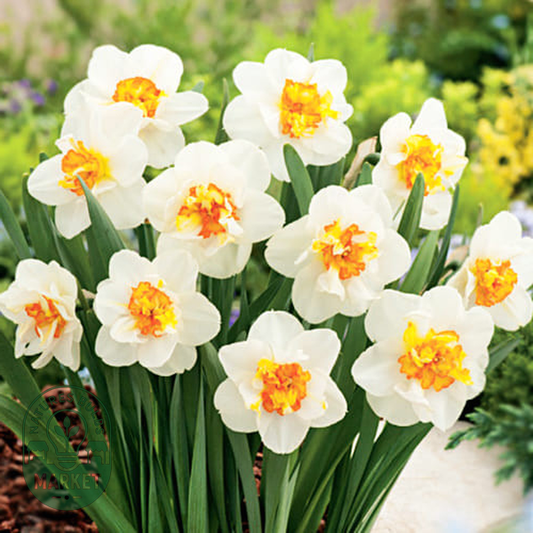 Flower Drift