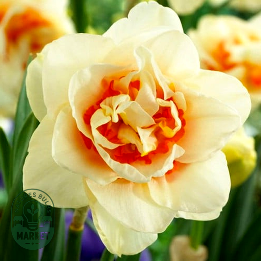 Flower Parade