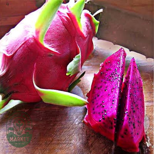 Dragon Fruit American Beauty