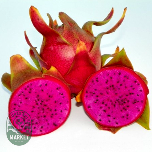 Dragon Fruit Cosmic Charlie
