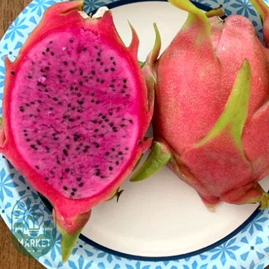 Dragon Fruit Dark Star