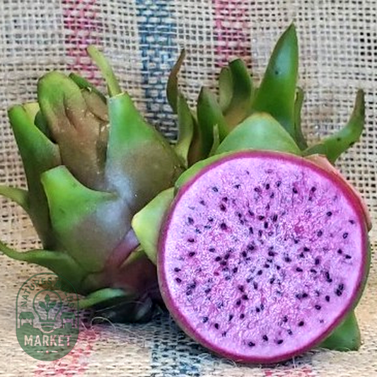 Dragon Fruit Edgars Baby