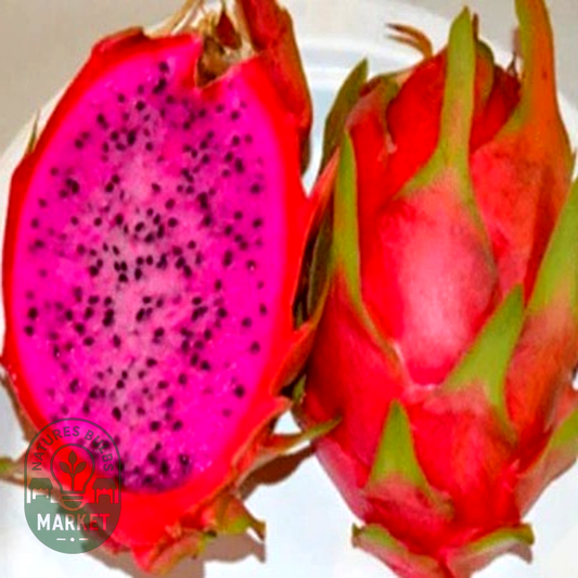 Dragon Fruit Physical Graffiti