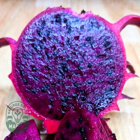 Dragon Fruit Red Jaina