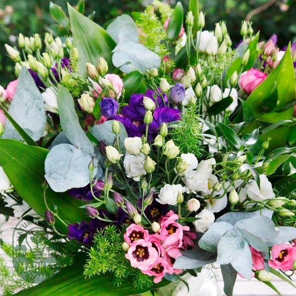 Minilisi® Mix Lisianthus Flower Seeds